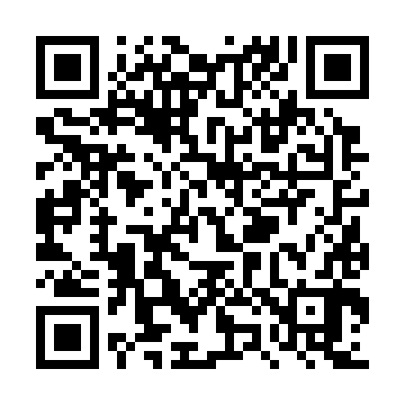 QR code for TZ6382