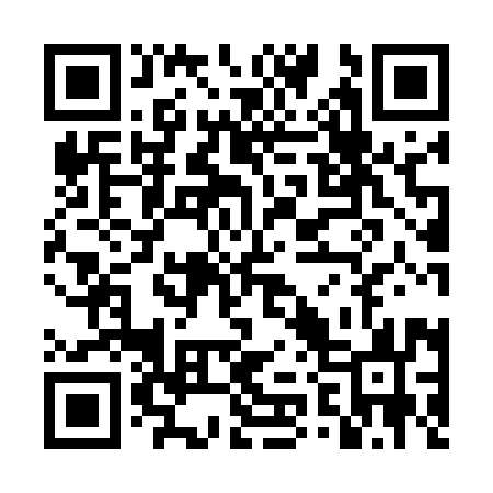 QR code for TZ9593