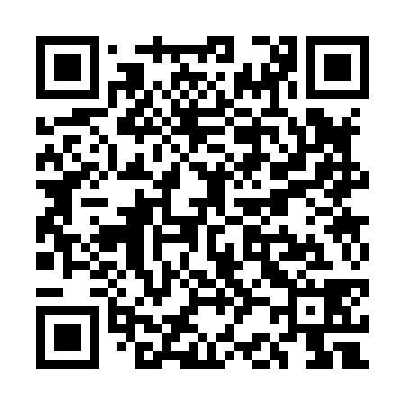 QR code for UB3838