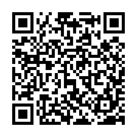 QR code for UD6594