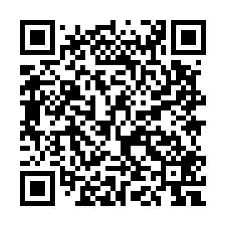 QR code for UD9509