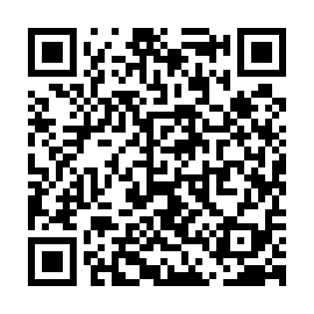 QR code for UD9519