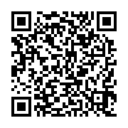 QR code for UE0313