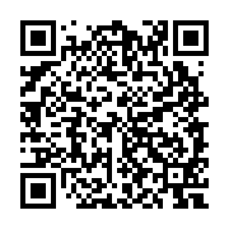QR code for UI4391