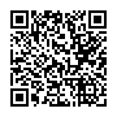 QR code for UN0397