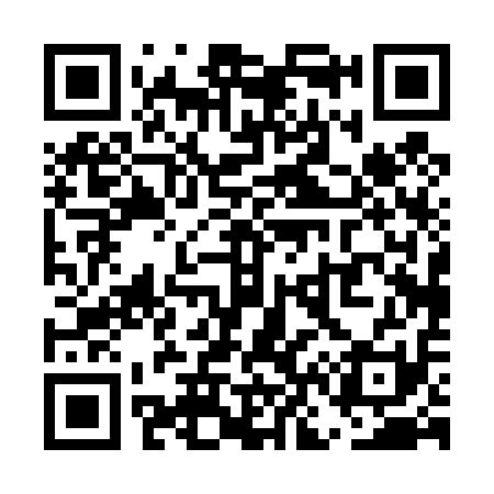 QR code for UN0411