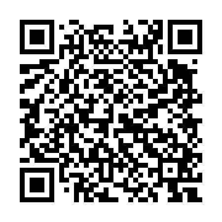 QR code for UN0441