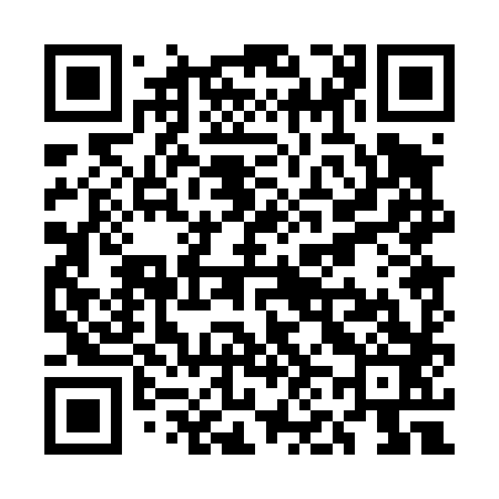 QR code for UN0483