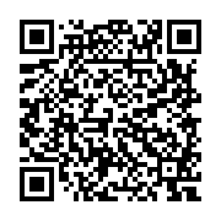 QR code for UN0981