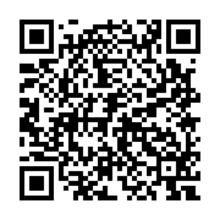 QR code for UN1196
