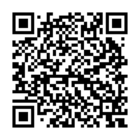 QR code for UN1296