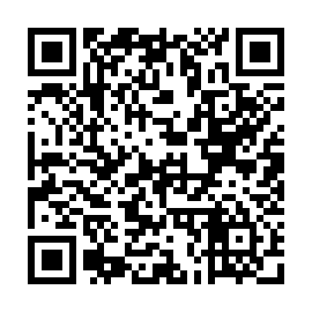 QR code for UN1335