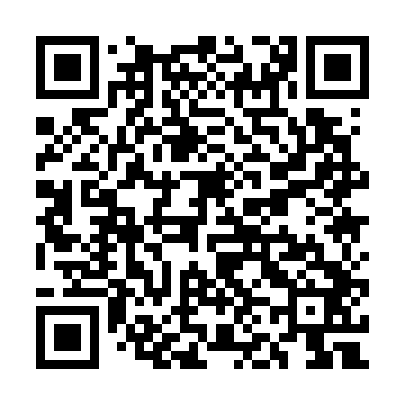 QR code for UN1742