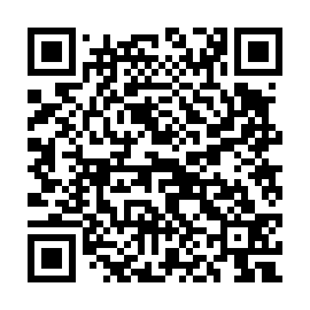 QR code for UN2433