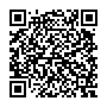 QR code for UN2484