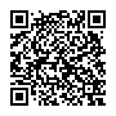 QR code for UN2629