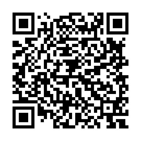 QR code for UN2890