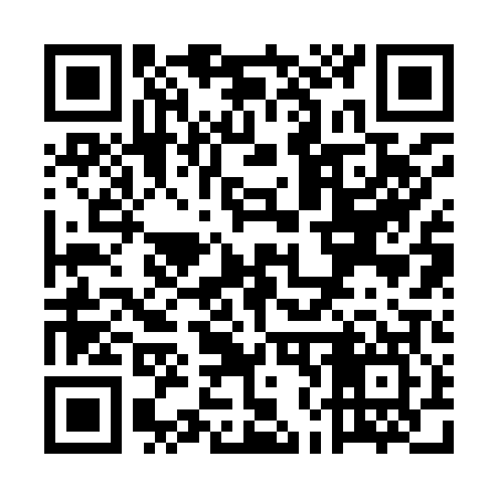 QR code for UN2907