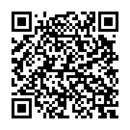 QR code for UN3006