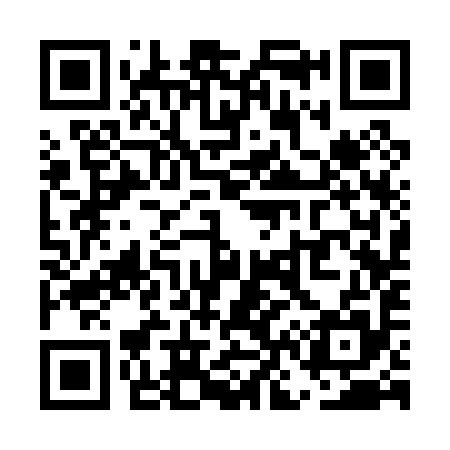 QR code for UN3095