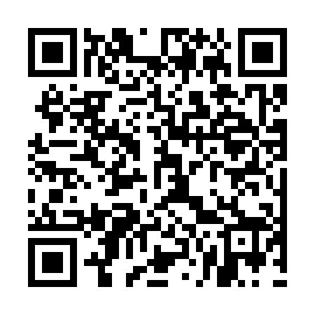 QR code for UN3308