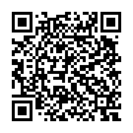 QR code for UN3413