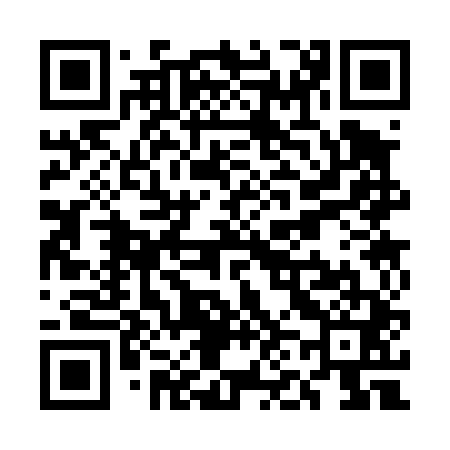 QR code for UN3441