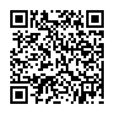 QR code for UN3807
