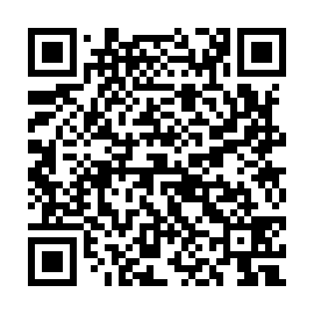 QR code for UN3939