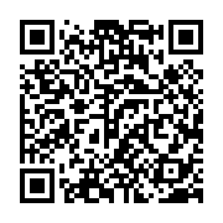 QR code for UN4038