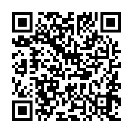QR code for UN4199