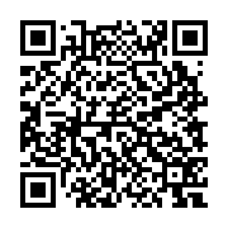 QR code for UN4376
