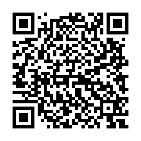 QR code for UN4521