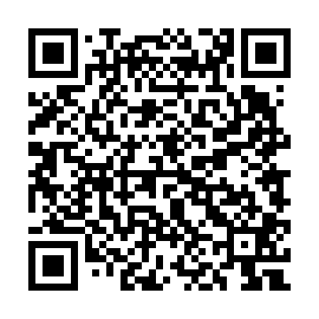 QR code for UN4601