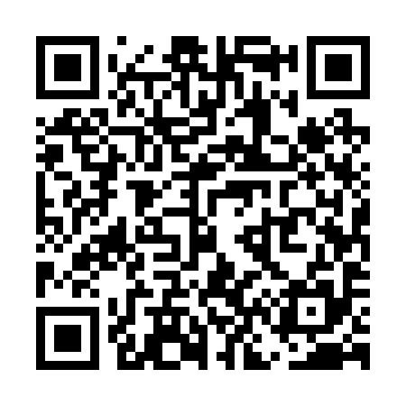 QR code for UN5295