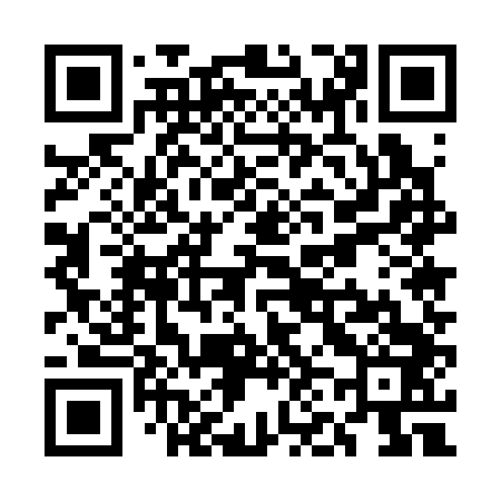 QR code for UN5343
