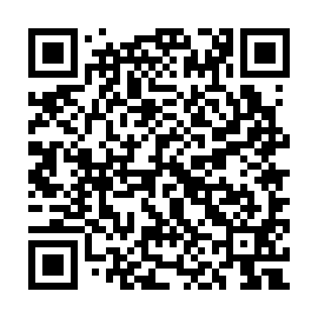 QR code for UN5391