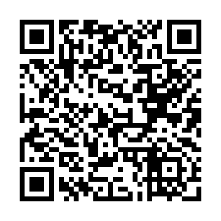 QR code for UN8393