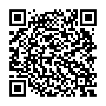 QR code for UN9666