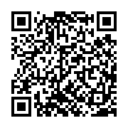 QR code for UR0613