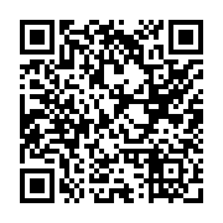 QR code for US3883