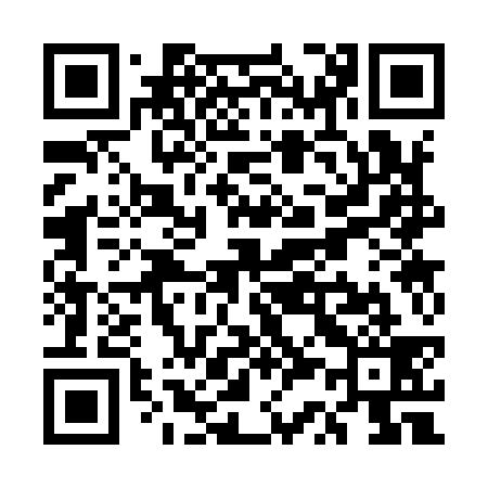 QR code for US3939