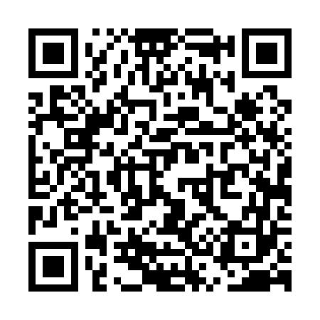 QR code for US4163