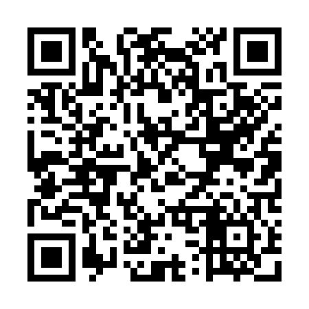 QR code for US4306