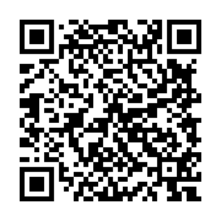 QR code for US4811