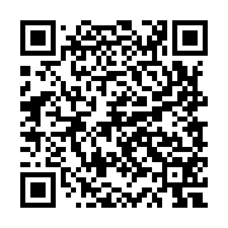 QR code for US4954