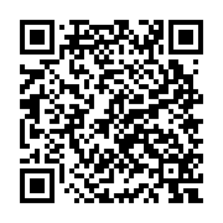 QR code for US5316