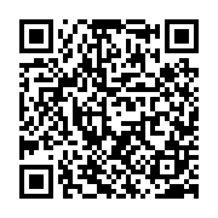 QR code for US6202
