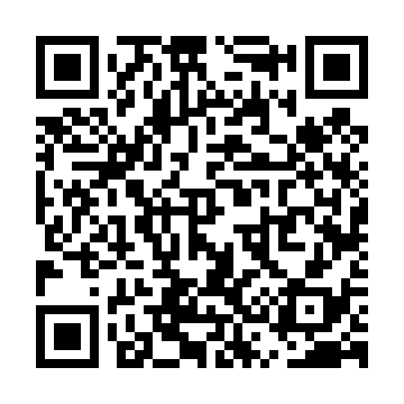 QR code for US6438