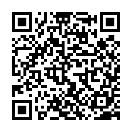 QR code for US6555